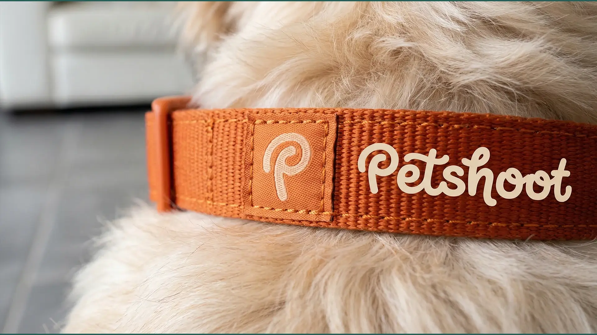 Aplicação da identidade Petshoot em uma peça de comunicação.