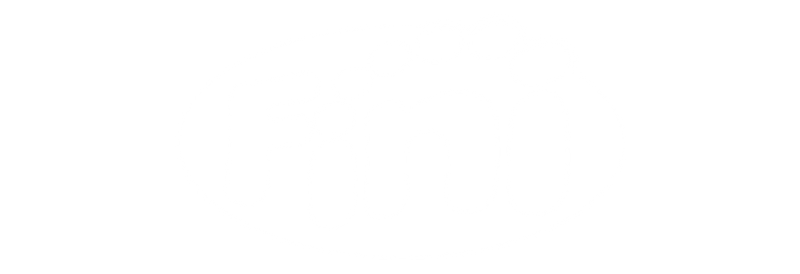 Logo Fini